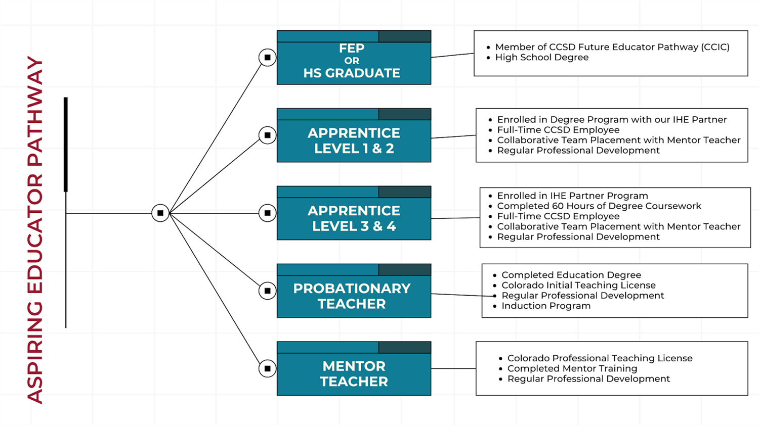 Aspiring Educator Pathway entry points